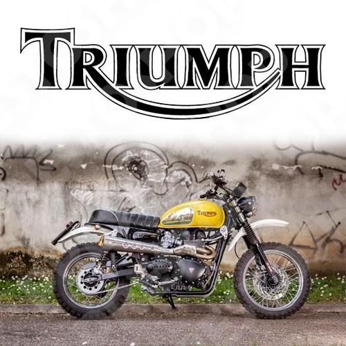 Adesivo moto triumph serbatoio - moto,